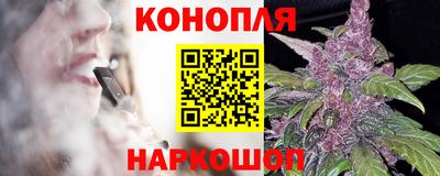 герыч Кингисепп